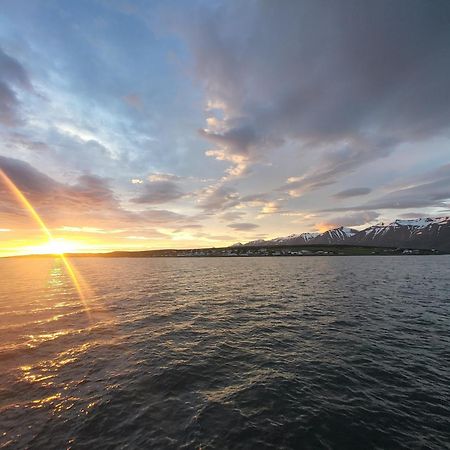 Asgarthur Hrisey Exteriör bild