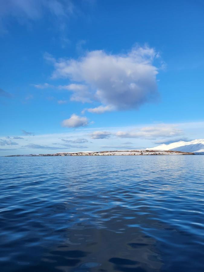 Asgarthur Hrisey Exteriör bild
